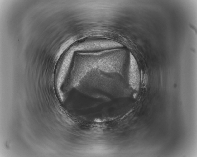 X0000102520099200808291806