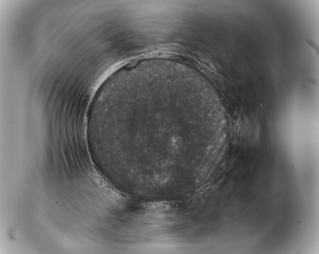 X0000102520100200808291806