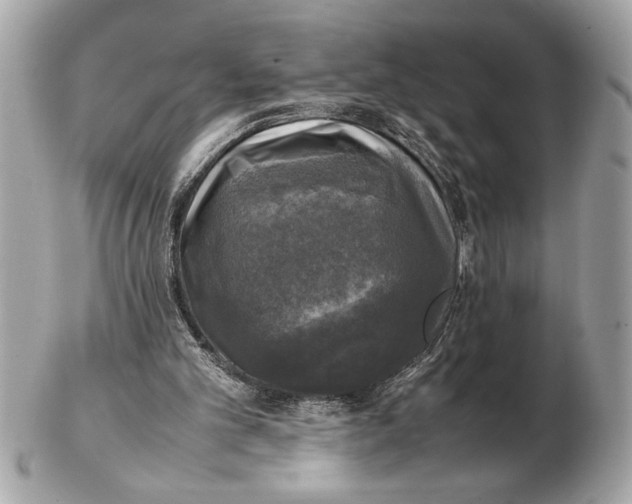 X0000102520101200808291806