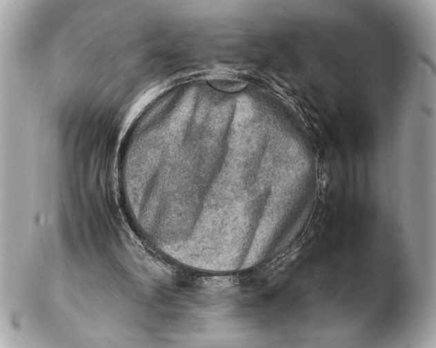 X0000102520102200808291806