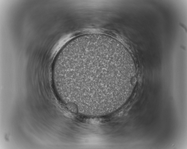 X0000102520103200808291806