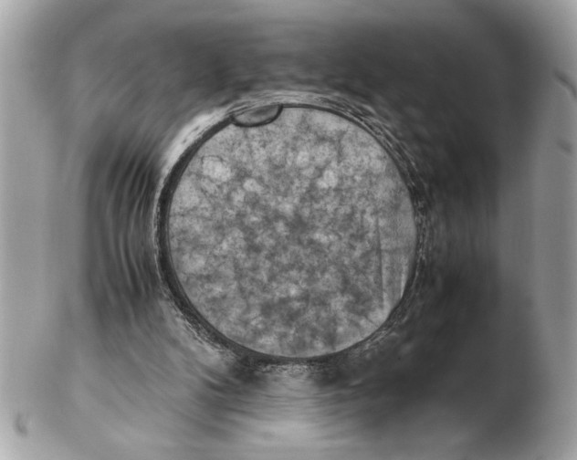 X0000102520104200808291806