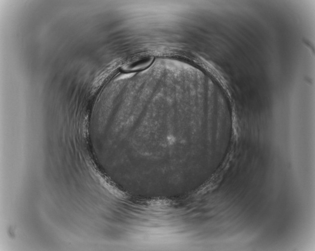 X0000102520105200808291806