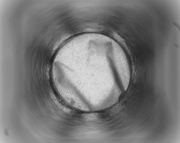 X0000102520106200808291806