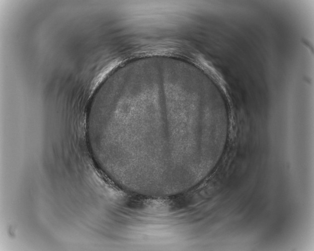 X0000102520107200808291806