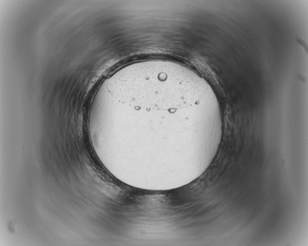 X0000102520108200808291806