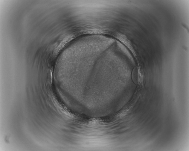 X0000102520109200808291806