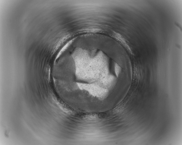 X0000102520110200808291806