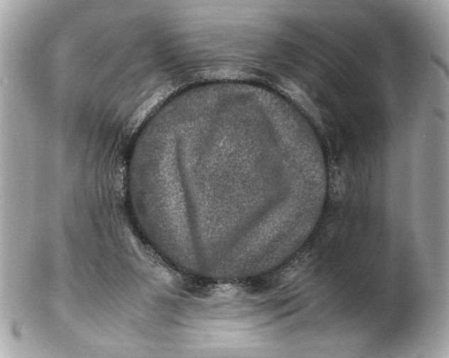 X0000102520111200808291806