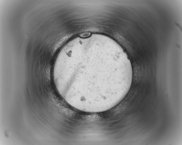 X0000102520112200808291806