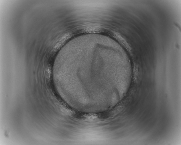 X0000102520113200808291806