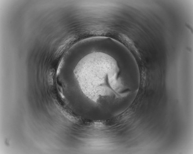 X0000102520114200808291806