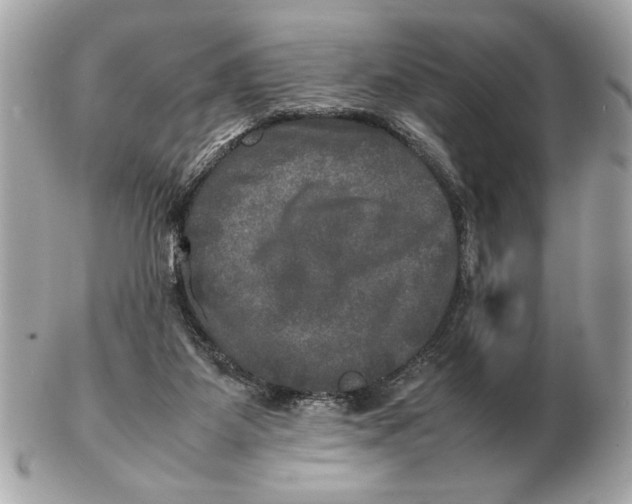 X0000102520115200808291806