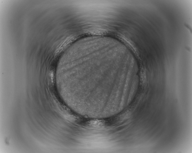 X0000102520117200808291806