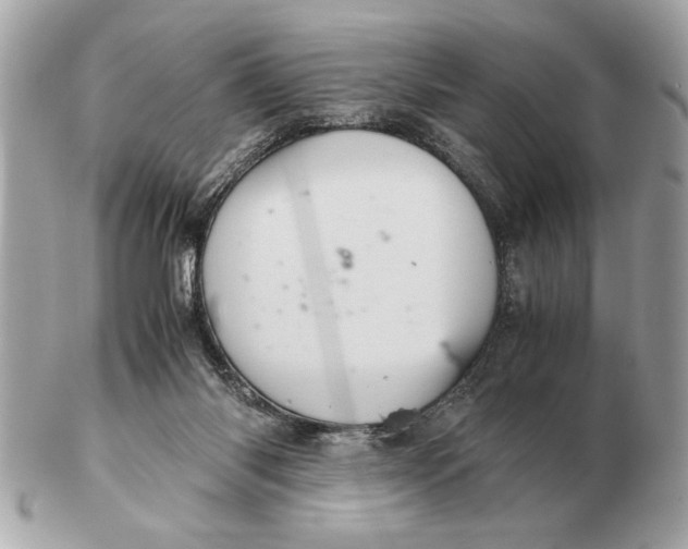 X0000102520118200808291806