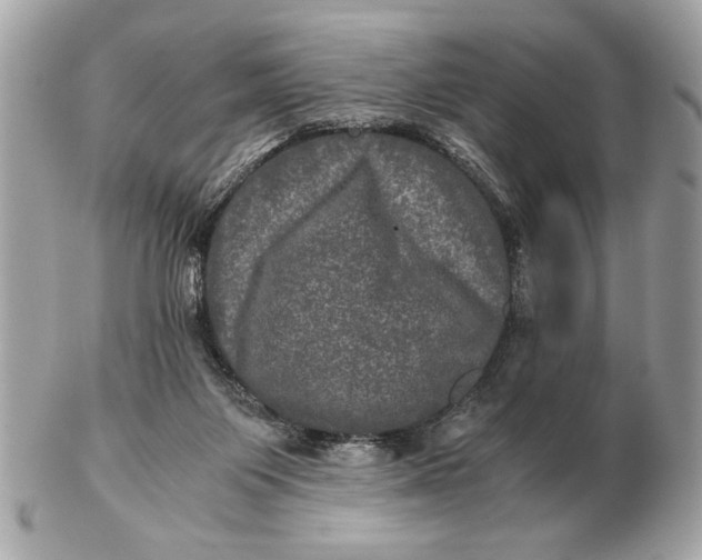 X0000102520119200808291806