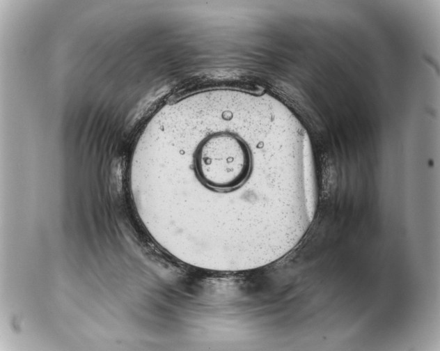 X0000102520120200808291806