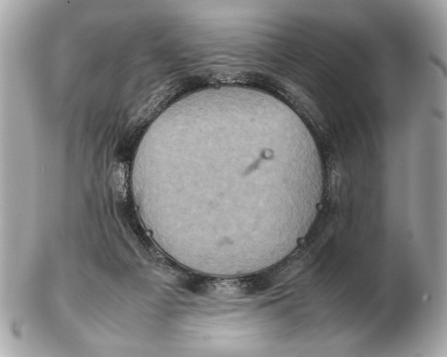 X0000102520121200808291806