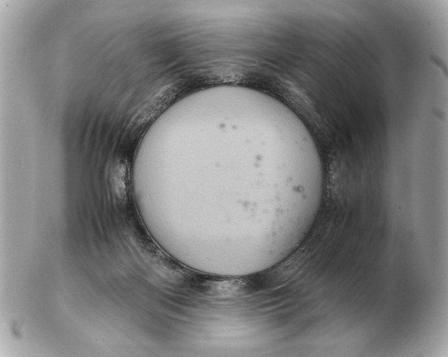 X0000102520122200808291806