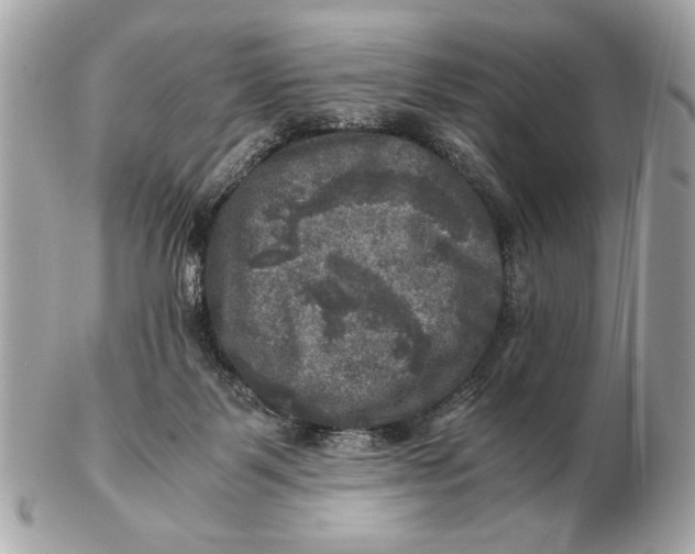 X0000102520123200808291806