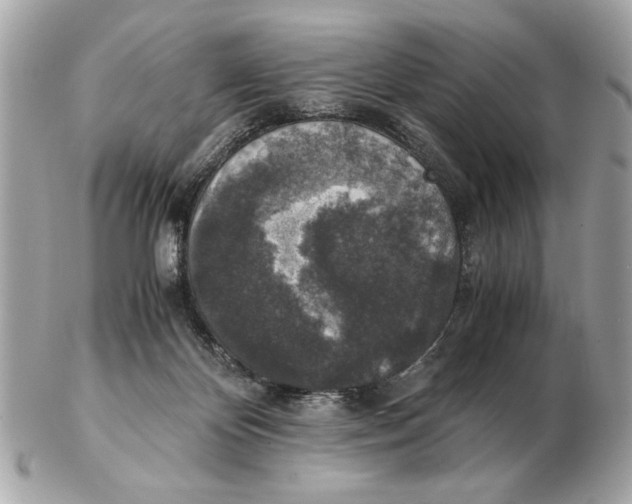 X0000102520124200808291806