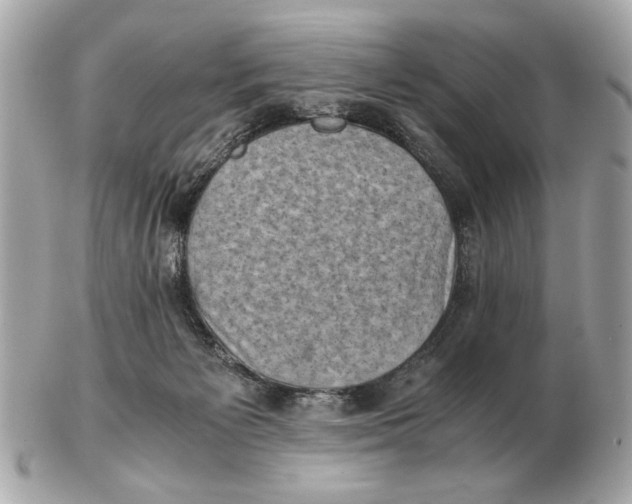 X0000102520125200808291806