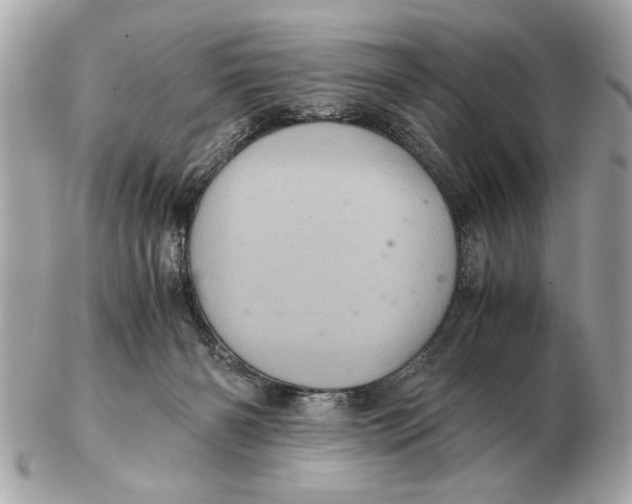 X0000102520126200808291806