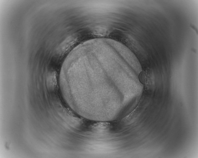 X0000102520128200808291805