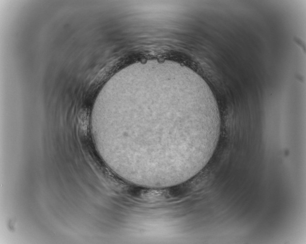 X0000102520129200808291805