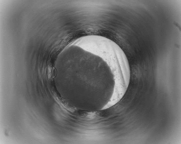 X0000102520130200808291805