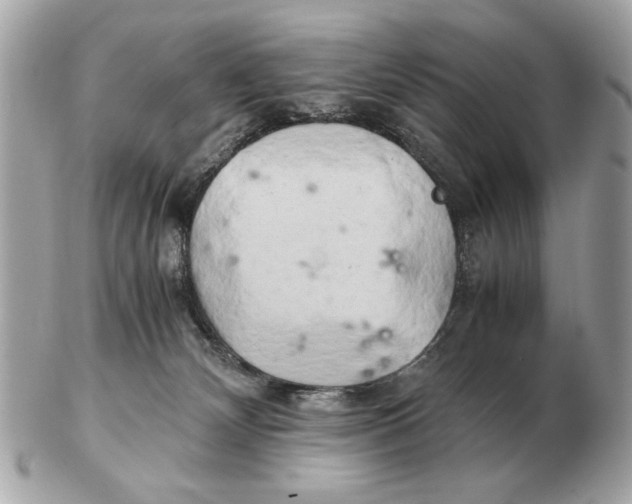 X0000102520132200808291805