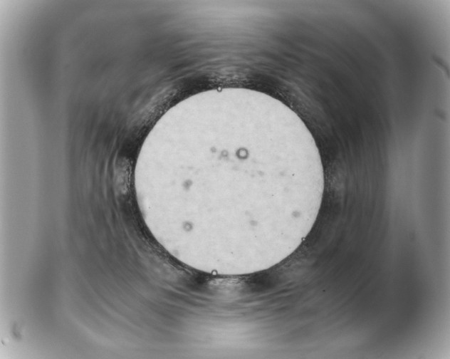 X0000102520133200808291805