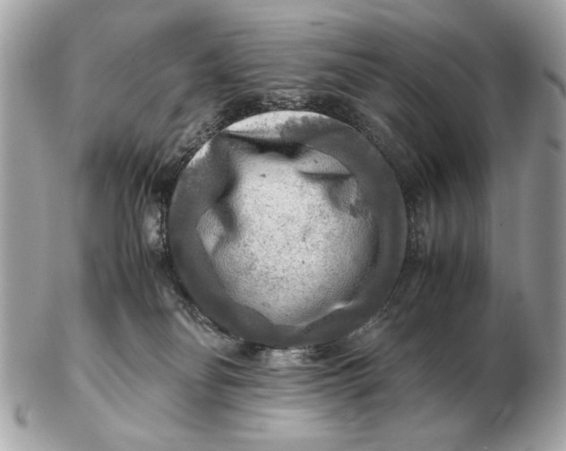 X0000102520134200808291805