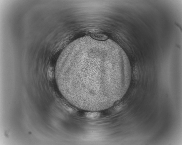 X0000102520135200808291805