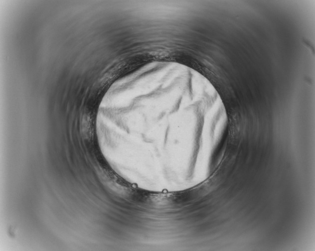 X0000102520136200808291805