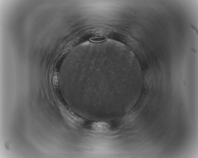 X0000102520137200808291805