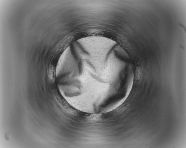 X0000102520138200808291805