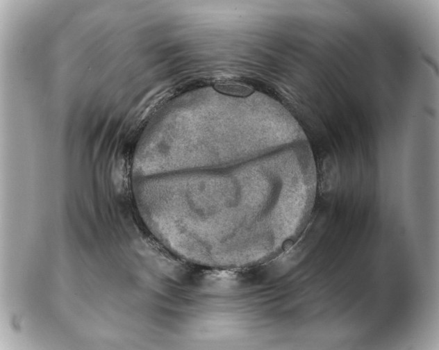 X0000102520140200808291805