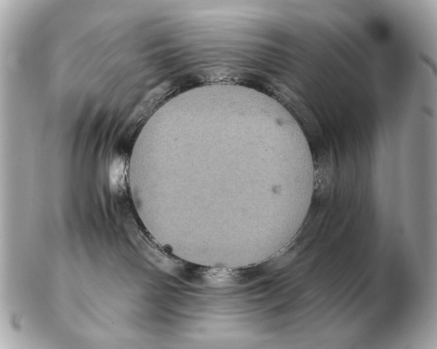 X0000102520142200808291805