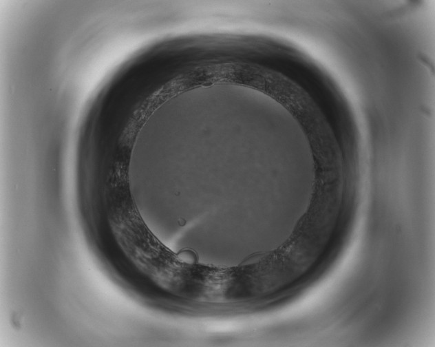 X0000102520143200808291805