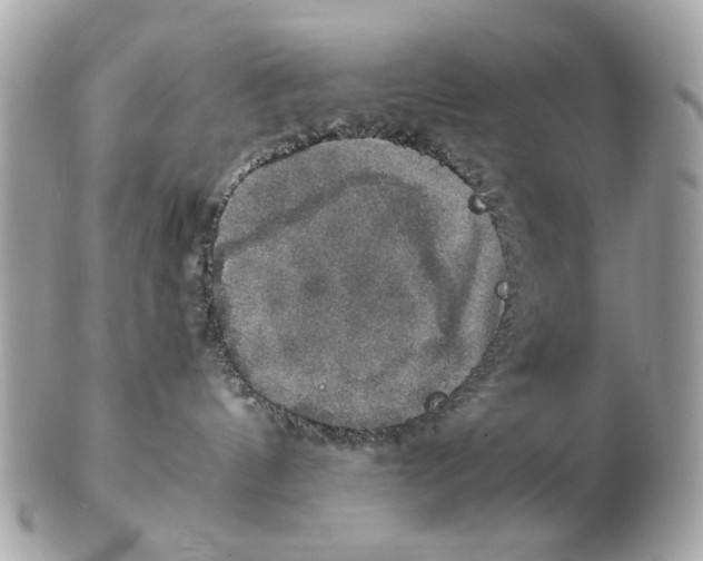 X0000102520144200808291805