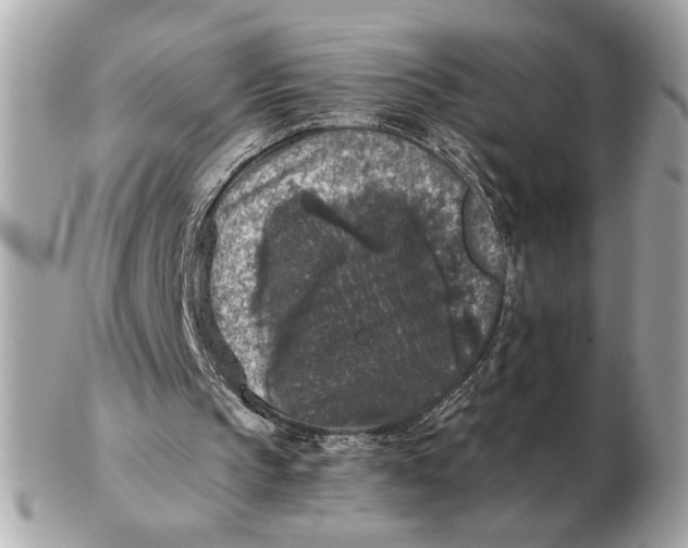 X0000102520145200808291805