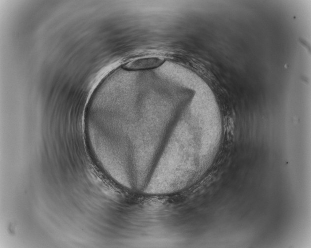 X0000102520148200808291805