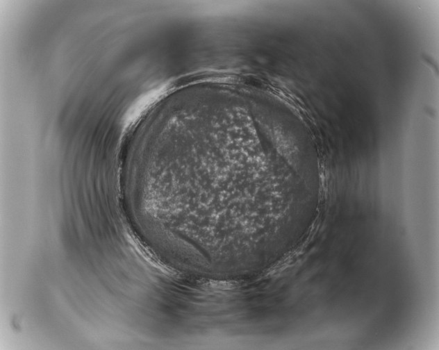 X0000102520149200808291805