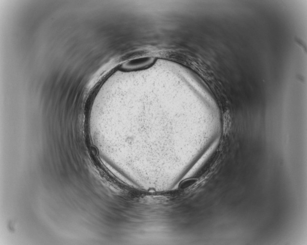 X0000102520150200808291805