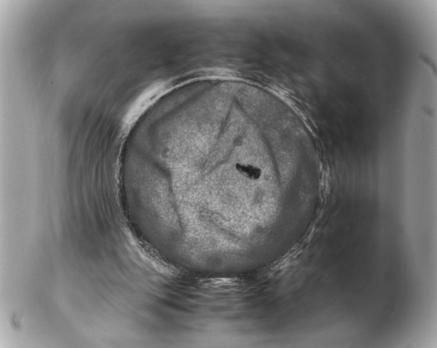 X0000102520151200808291805