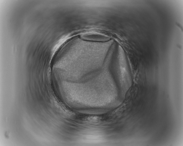 X0000102520152200808291805