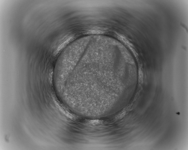 X0000102520153200808291805