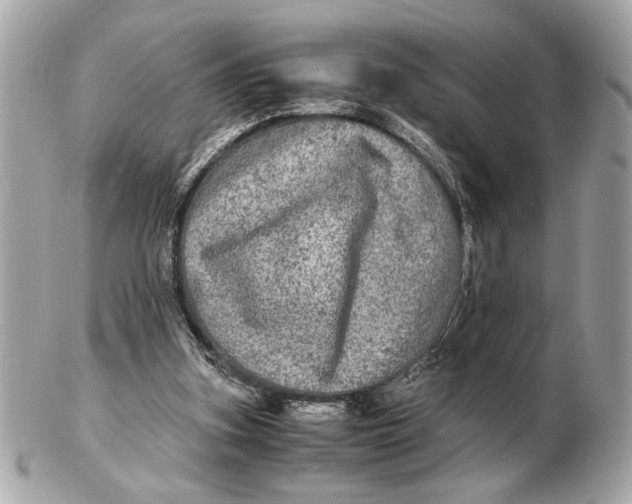 X0000102520155200808291805