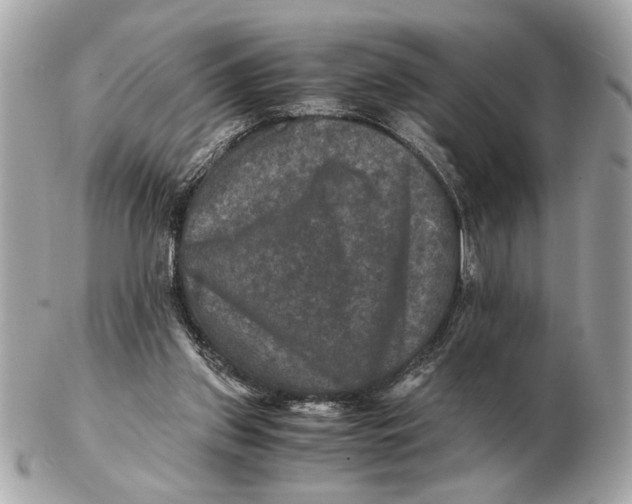 X0000102520157200808291805